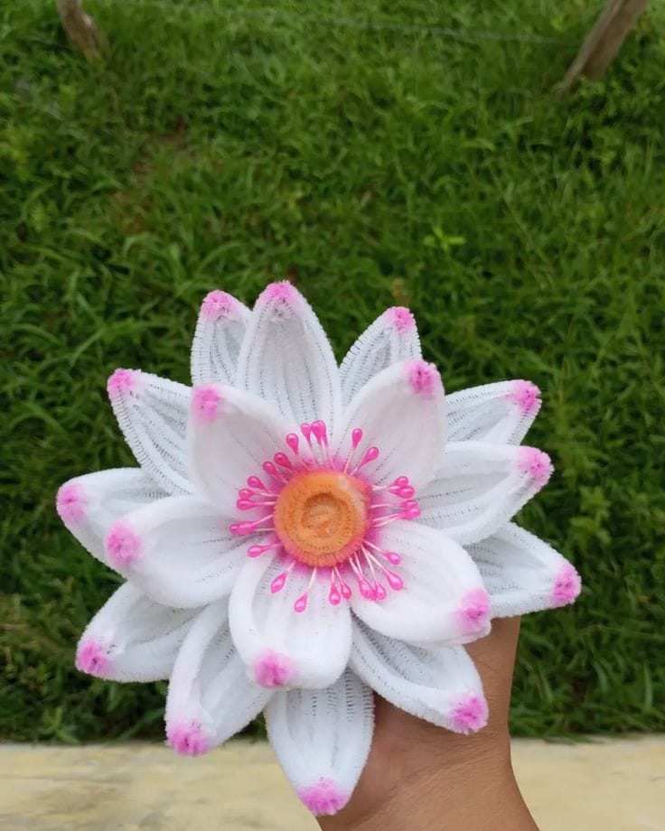 Lotus - Image 2